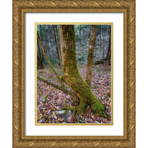 Trees 79 Gold Ornate Wood Framed Art Print with Double Matting by Lee, Rachel