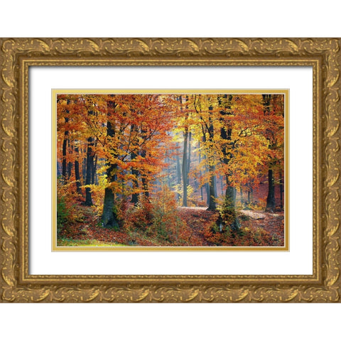 Trees 9 Gold Ornate Wood Framed Art Print with Double Matting by Lee, Rachel