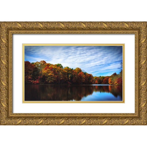 Trees and Water 5 Gold Ornate Wood Framed Art Print with Double Matting by Lee, Rachel