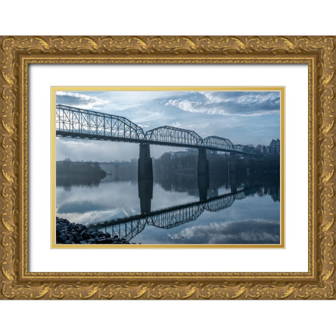 Walnut Early Light Gold Ornate Wood Framed Art Print with Double Matting by Lee, Rachel