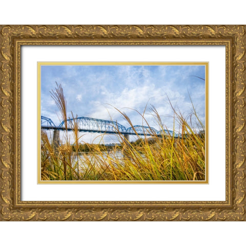 Walnut Grass Gold Ornate Wood Framed Art Print with Double Matting by Lee, Rachel