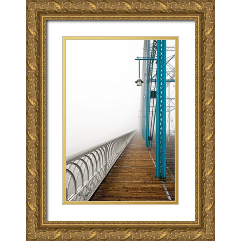 Walnut in Fog Left Gold Ornate Wood Framed Art Print with Double Matting by Lee, Rachel