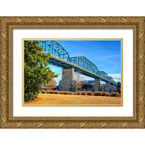 Walnut Warm Gold Ornate Wood Framed Art Print with Double Matting by Lee, Rachel