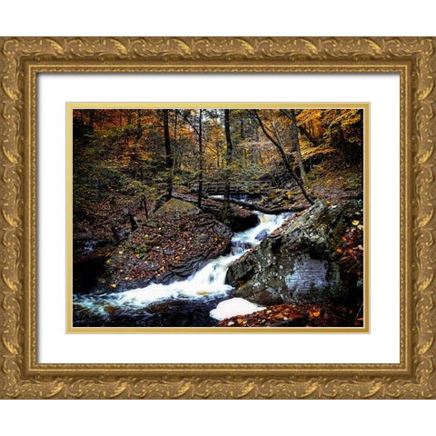 Waterfall 45 Gold Ornate Wood Framed Art Print with Double Matting by Lee, Rachel
