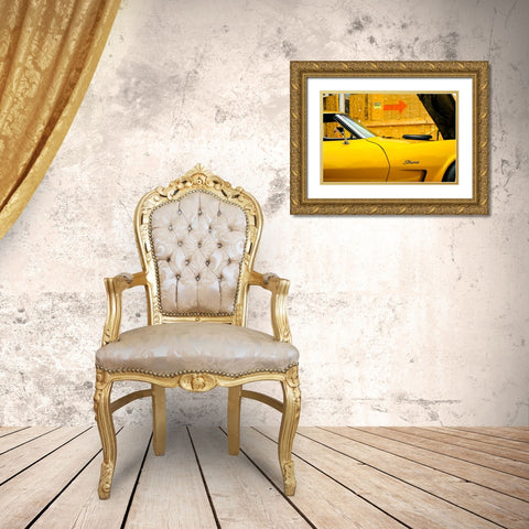 Stingray Gold Ornate Wood Framed Art Print with Double Matting by Malone, Will