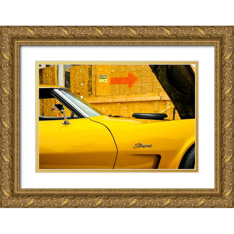 Stingray Gold Ornate Wood Framed Art Print with Double Matting by Malone, Will