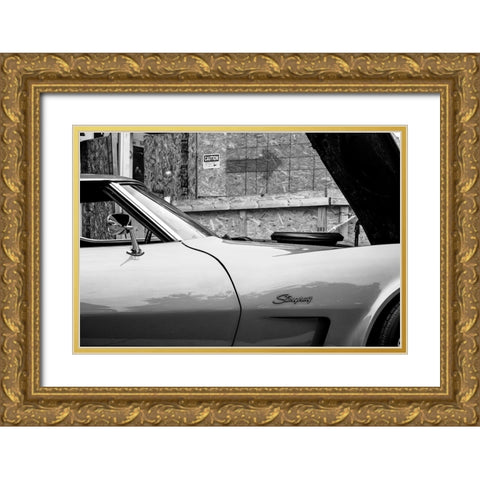 Stingray BW Gold Ornate Wood Framed Art Print with Double Matting by Malone, Will