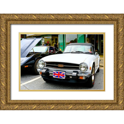 TR6 Gold Ornate Wood Framed Art Print with Double Matting by Malone, Will