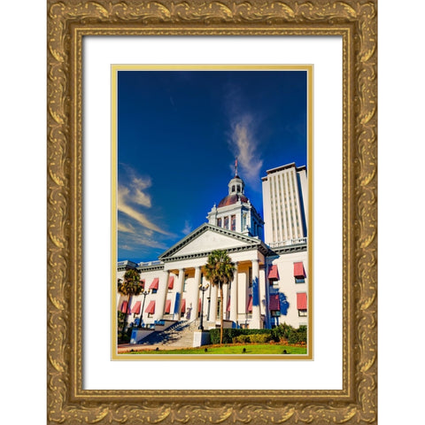 Capital 3 Gold Ornate Wood Framed Art Print with Double Matting by Malone, Will