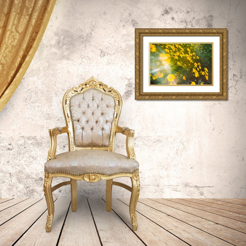 Springtime Gold Ornate Wood Framed Art Print with Double Matting by Malone, Will