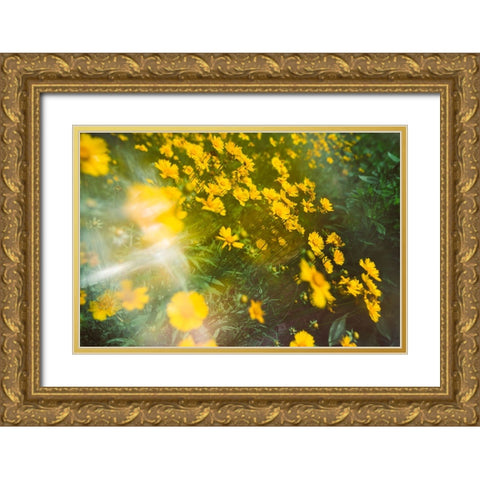 Springtime Gold Ornate Wood Framed Art Print with Double Matting by Malone, Will