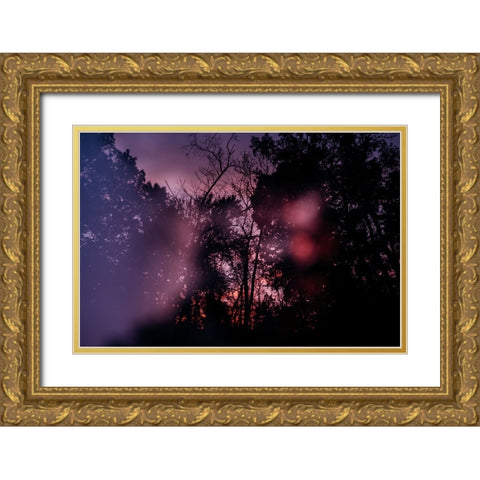 Sunset 1 Gold Ornate Wood Framed Art Print with Double Matting by Malone, Will
