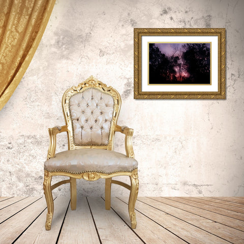 Sunset 2 Gold Ornate Wood Framed Art Print with Double Matting by Malone, Will