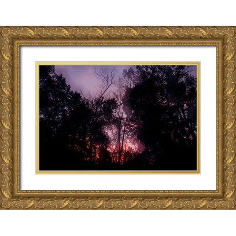Sunset 2 Gold Ornate Wood Framed Art Print with Double Matting by Malone, Will