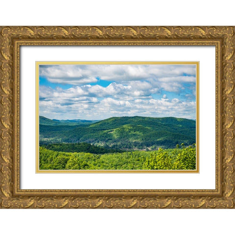 Jump Off Rock Gold Ornate Wood Framed Art Print with Double Matting by Malone, Will