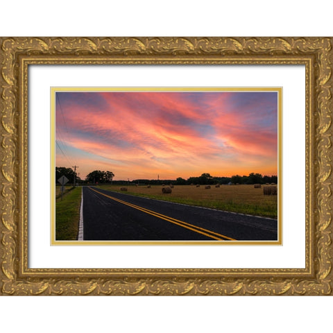 Sunrise Road Gold Ornate Wood Framed Art Print with Double Matting by Malone, Will