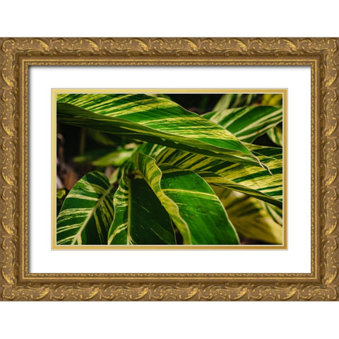 Green Gold Ornate Wood Framed Art Print with Double Matting by Malone, Will