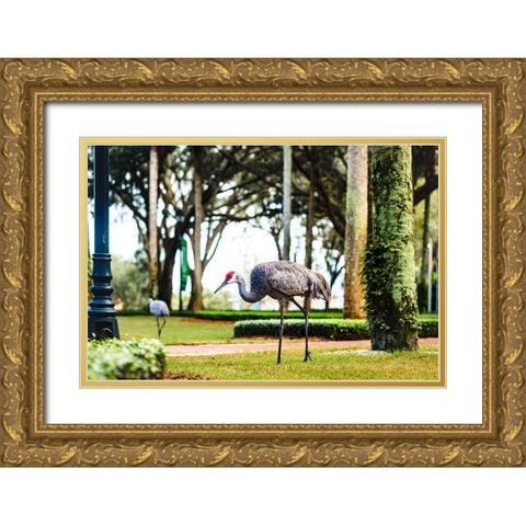 2 Birds and a Lizard Gold Ornate Wood Framed Art Print with Double Matting by Malone, Will