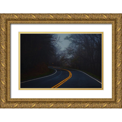 Winding Road Gold Ornate Wood Framed Art Print with Double Matting by Malone, Will