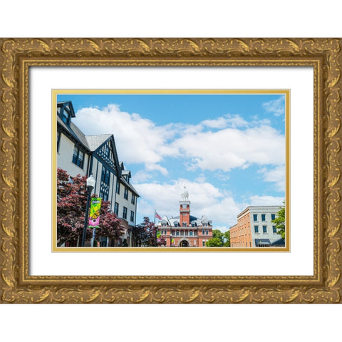 Elbert County Courthouse Gold Ornate Wood Framed Art Print with Double Matting by Malone, Will