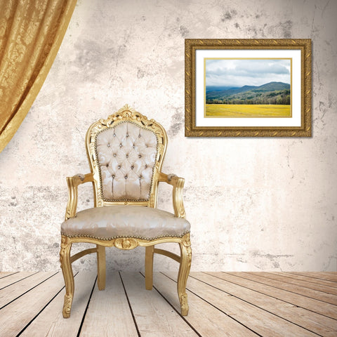 Yellow Fields Gold Ornate Wood Framed Art Print with Double Matting by Malone, Will