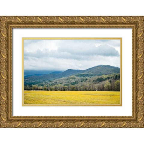 Yellow Fields Gold Ornate Wood Framed Art Print with Double Matting by Malone, Will