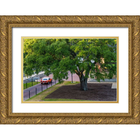 Camaro Through The Park Gold Ornate Wood Framed Art Print with Double Matting by Malone, Will