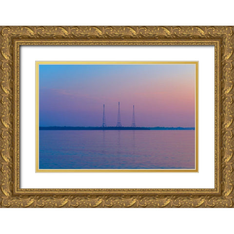 Antennae Gold Ornate Wood Framed Art Print with Double Matting by Malone, Will