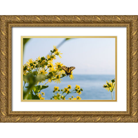 Monarch 2 Gold Ornate Wood Framed Art Print with Double Matting by Malone, Will