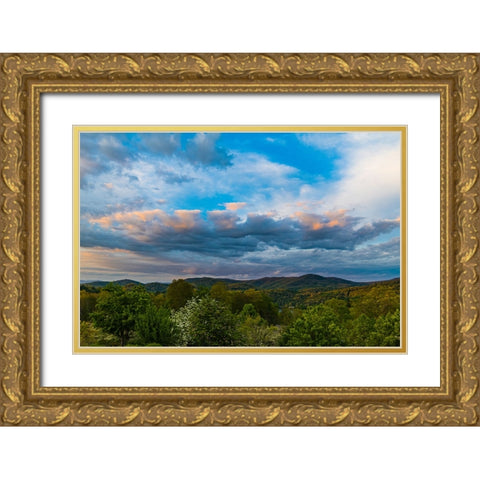 Cashiers Clouds Gold Ornate Wood Framed Art Print with Double Matting by Malone, Will