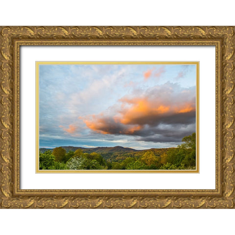 Cashiers Clouds 2 Gold Ornate Wood Framed Art Print with Double Matting by Malone, Will