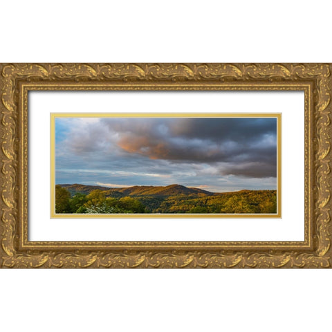 Cashiers Clouds Pano Gold Ornate Wood Framed Art Print with Double Matting by Malone, Will