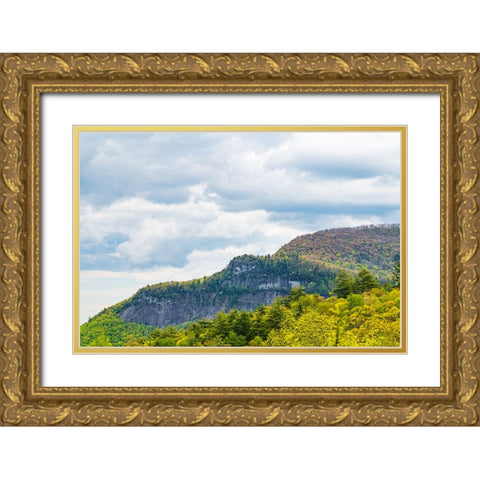 Ridge Gold Ornate Wood Framed Art Print with Double Matting by Malone, Will