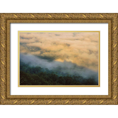 Golden Morning 4 Gold Ornate Wood Framed Art Print with Double Matting by Malone, Will