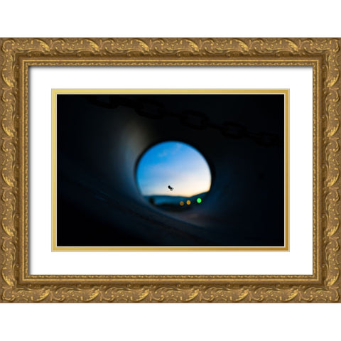 Spider Gold Ornate Wood Framed Art Print with Double Matting by Malone, Will