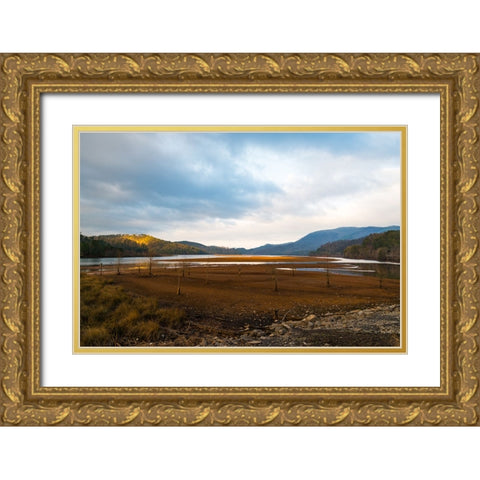 Dried Out Gold Ornate Wood Framed Art Print with Double Matting by Malone, Will