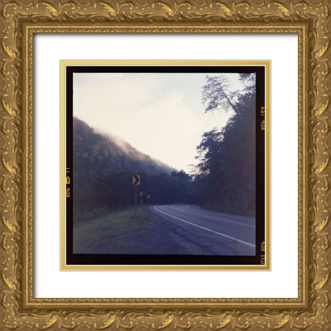 Ocoee Road Gold Ornate Wood Framed Art Print with Double Matting by Malone, Will
