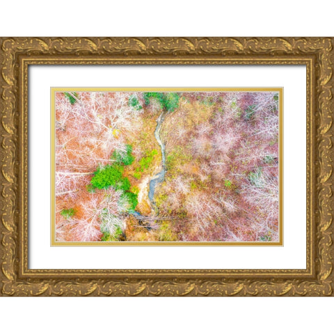 Aerial Creek Gold Ornate Wood Framed Art Print with Double Matting by Malone, Will