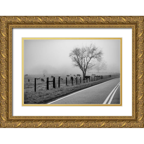 Cows in Fog Gold Ornate Wood Framed Art Print with Double Matting by Malone, Will