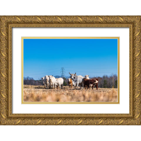 Drawing a Crowd Gold Ornate Wood Framed Art Print with Double Matting by Malone, Will