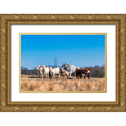 Drawing a Crowd 2 Gold Ornate Wood Framed Art Print with Double Matting by Malone, Will