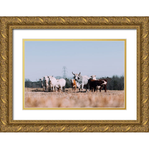 Drawing a Crowd Re-edit Gold Ornate Wood Framed Art Print with Double Matting by Malone, Will