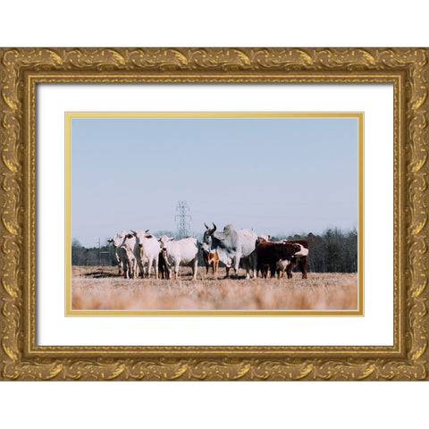 Drawing a Crowd 2 Re-edit Gold Ornate Wood Framed Art Print with Double Matting by Malone, Will