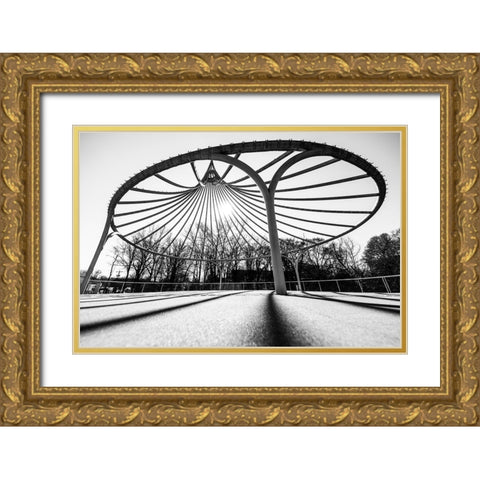 Cancer Survivor Park 2 BW Gold Ornate Wood Framed Art Print with Double Matting by Malone, Will