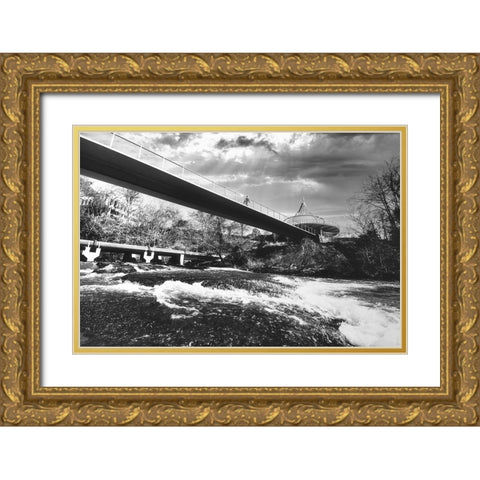 Cancer Survivor Park 3 BW Gold Ornate Wood Framed Art Print with Double Matting by Malone, Will