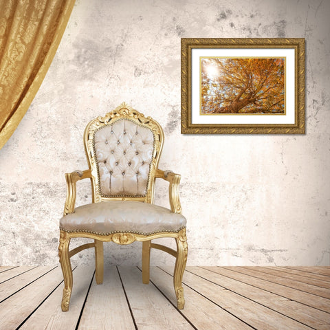 Grand Fall 2 Gold Ornate Wood Framed Art Print with Double Matting by Malone, Will