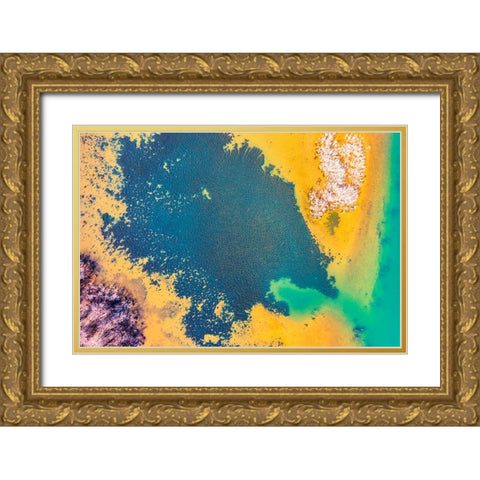 Savannah 3 Gold Ornate Wood Framed Art Print with Double Matting by Malone, Will