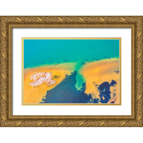 Savannah 4 Gold Ornate Wood Framed Art Print with Double Matting by Malone, Will