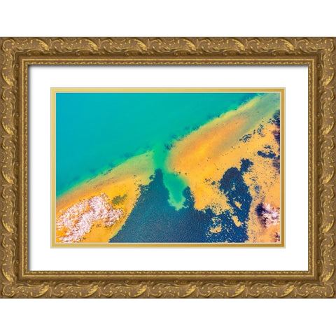 Savannah 5 Gold Ornate Wood Framed Art Print with Double Matting by Malone, Will