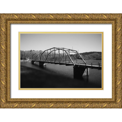 Savannah Bridge Gold Ornate Wood Framed Art Print with Double Matting by Malone, Will
